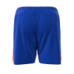 Picture of Vector Shorts (Royal) - Vail