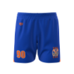 Picture of Vector Shorts (Royal) - Vail