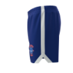 Picture of Navy Vector Shorts - Cherry Creek