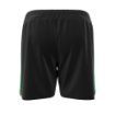 Picture of Black Vector Shorts - Houston LC