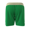 Picture of Green Vector Shorts - Houston LC