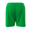 Picture of Green Vector Shorts - Farmingdale