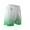 Picture of Green Fade Vector Shorts - Farmingdale