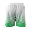 Picture of Green Fade Vector Shorts - Farmingdale