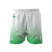 Picture of Green Fade Vector Shorts - Farmingdale