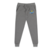 Picture of Jogger (Carbon Gray)-Seckman Jaguars