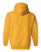Picture of 1-Heavy Blend™ Hooded Sweatshirt (Gold)-Academy Camps