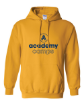 Picture of 4-Heavy Blend™ Hooded Sweatshirt (Gold)-Academy Camps