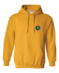Picture of 5-Heavy Blend™ Hooded Sweatshirt (Gold)-Academy Camps