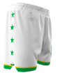 Picture of Vector Shorts-Northstar Youth