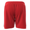 Picture of Men's Custom Short-Team America
