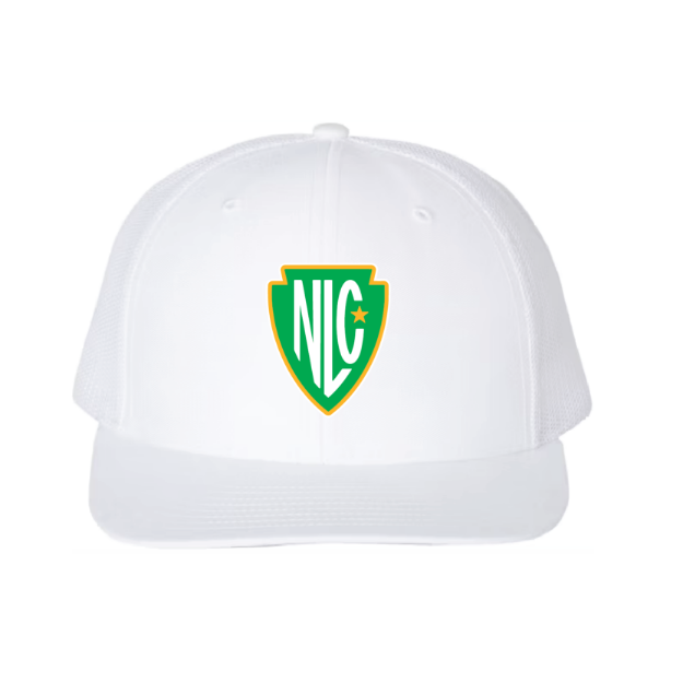 Picture of DTF-Mesh Snapback Hat - (White/White)-Northstar-WHITE