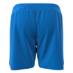 Picture of Men's Custom Short-GSB Store