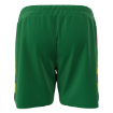 Picture of Men's Custom Short-SHAMROCKS