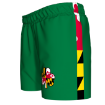 Picture of Women's Custom Short-Shamrocks