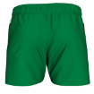 Picture of Women's Custom Short-Shamrocks
