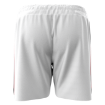 Picture of Men's Custom Short-VISTA RIDGE RANGERS