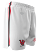 Picture of Men's Custom Short-VISTA RIDGE RANGERS
