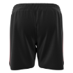 Picture of Men's Custom Short-VISTA RIDGE RANGERS
