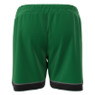 Picture of Men's Custom Short-Greene Turtle Store