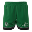 Picture of Men's Custom Short-Greene Turtle Store