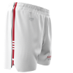 Picture of Men's Custom Short-Highlanders