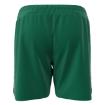 Picture of Men's Custom Short-MDLL MALARDS