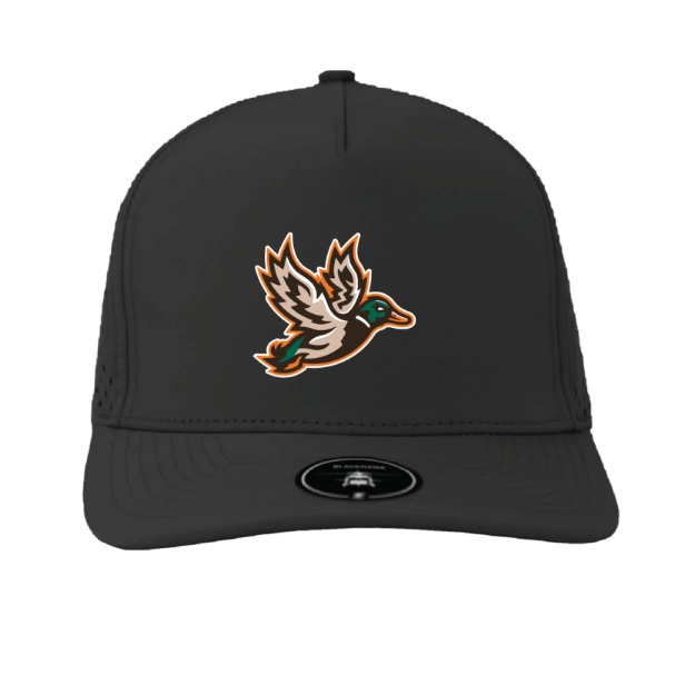 Picture of BlackHawk Hat (Black)-MDLL MALARDS
