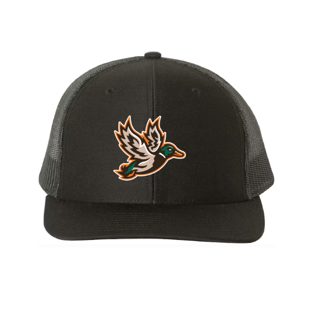 Picture of DTF-Mesh Snapback Hat - (Black/Black)-MDLL MALARDS