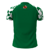 Picture of Women Custom Performance Shirt-SHAMROCKS