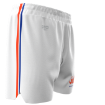 Picture of Men's Custom Short-University of florida