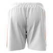 Picture of Men's Custom Short-University of florida