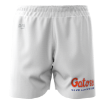 Picture of Men's Custom Short-University of florida