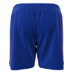 Picture of Men's Custom Short-University of florida